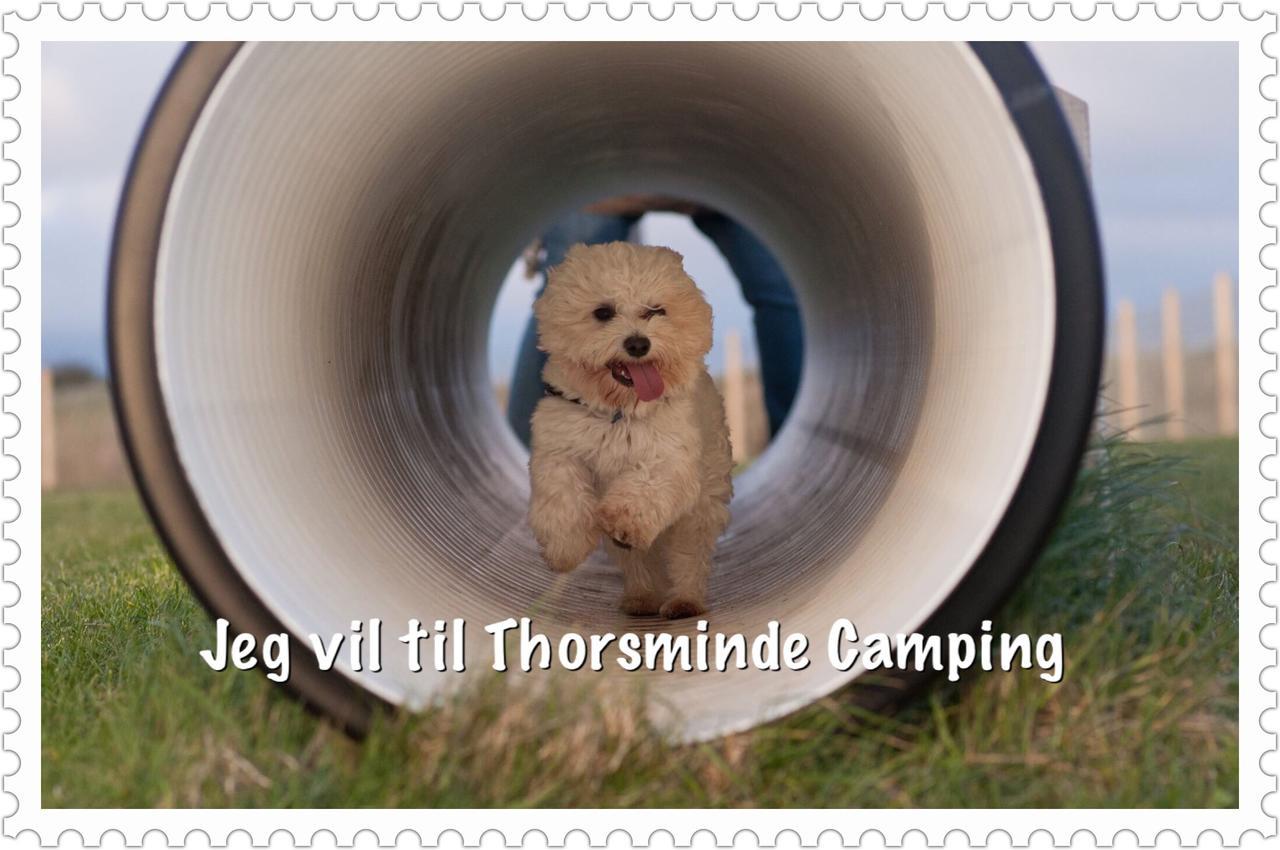 Thorsminde Camping & Cottages Exteriér fotografie